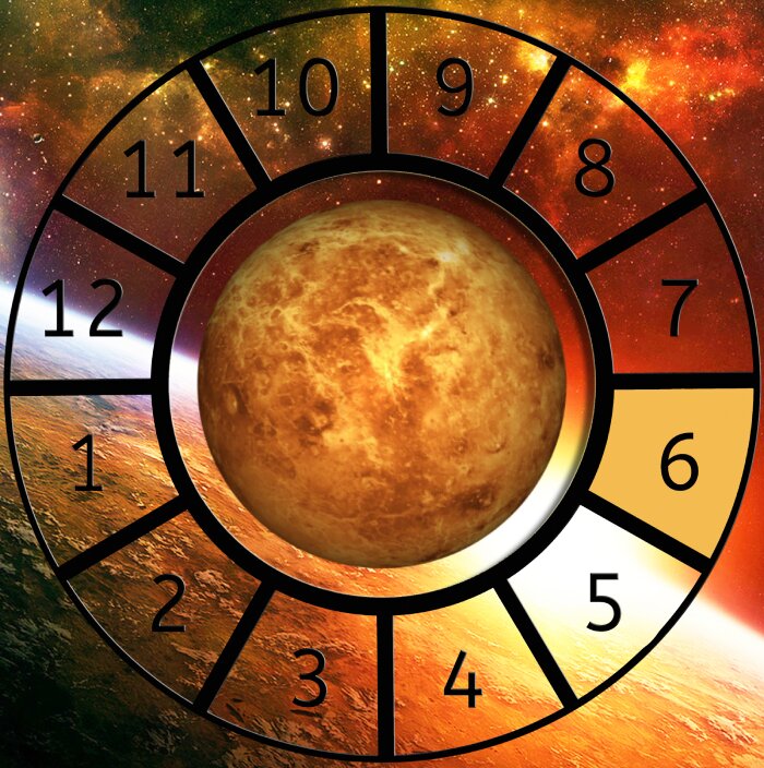 Venus shown within a Astrological House wheel highlighting the 6th House
